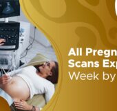 Complete Pregnancy Scan List by Trimester: Tests & Their Importance