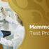 mammogram procedure