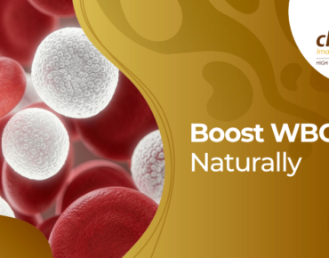 How to increase white blood cells