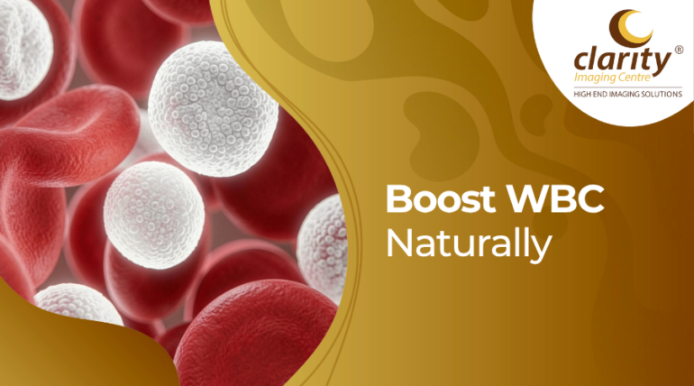 How to increase white blood cells