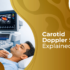 Carotid Doppler ultrasound scan showing blood flow in neck arteries