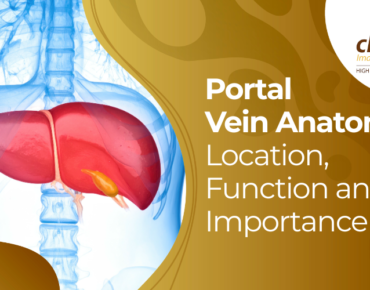 portal vein anatomy