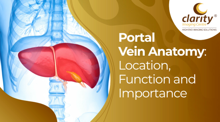 portal vein anatomy