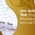 uric acid test